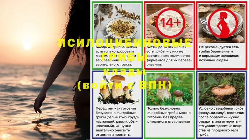 Псилоцибиновые грибы Magic Shrooms  где купить наркотик  hydra ТОР  Невьянск 